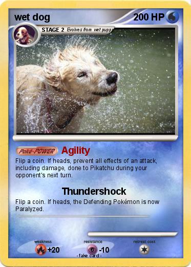 Pokemon wet dog