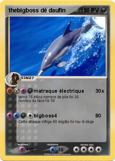 Pokemon thebigboss dé daufin