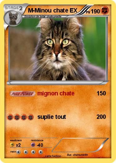 Pokemon M-Minou chate EX