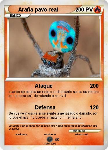 Pokemon Araña pavo real