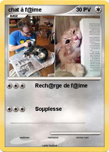 Pokemon chat à f@ime