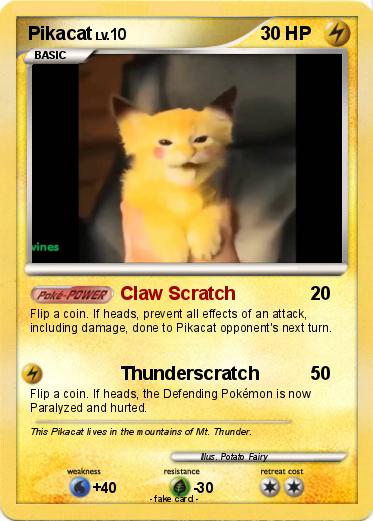 Pokemon Pikacat