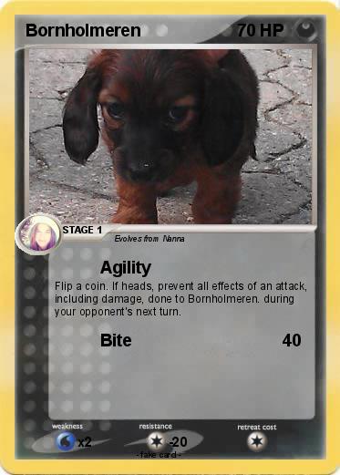 Pokemon Bornholmeren