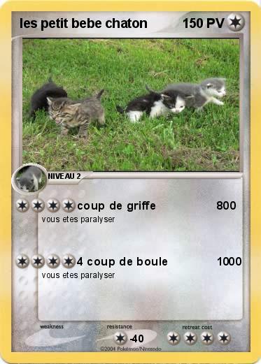 Pokemon les petit bebe chaton