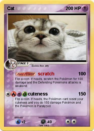 Pokemon Cat