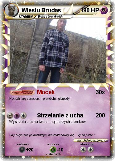 Pokemon Wiesiu Brudas