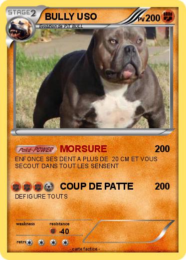 Pokemon BULLY USO