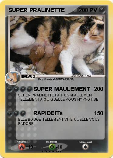 Pokemon SUPER PRALINETTE
