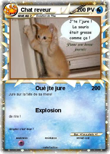 Pokemon Chat reveur