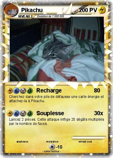 Pokemon Oggychu