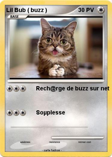 Pokemon Lil Bub ( buzz )