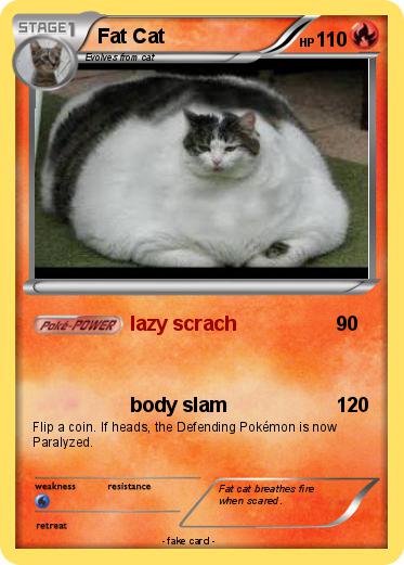 Pokemon Fat Cat