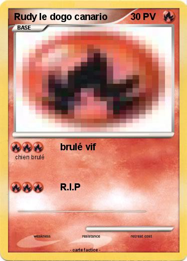 Pokemon Rudy le dogo canario