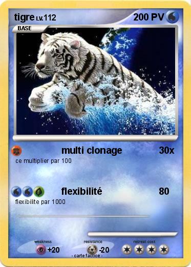 Pokemon tigre