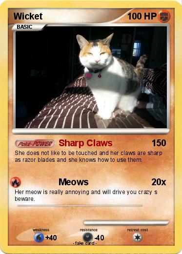Pokemon Wicket