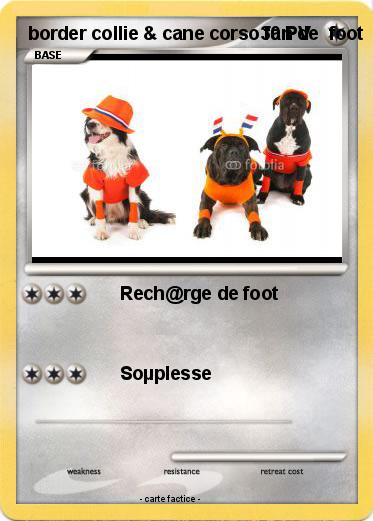 Pokemon border collie & cane corso fan de  foot