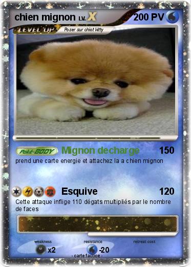 Pokemon chien mignon