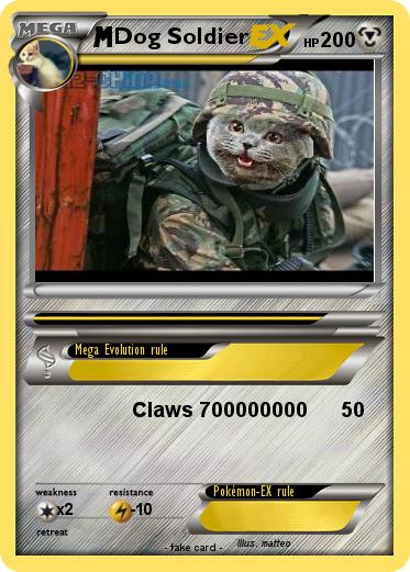 Pokemon Dog Soldier
