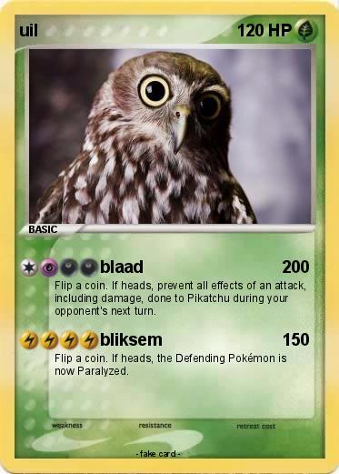 Pokemon uil