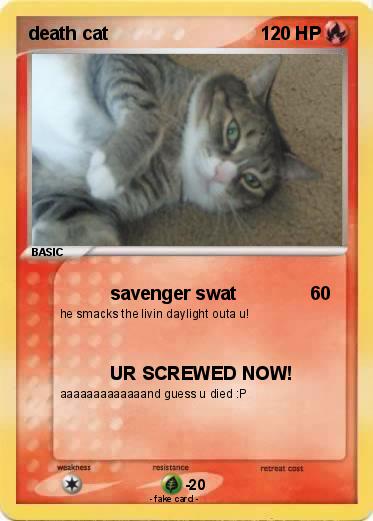 Pokemon death cat