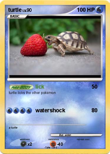 Pokemon turtle