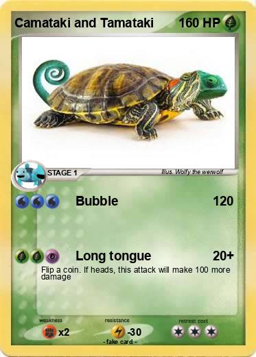 Pokemon Camataki and Tamataki