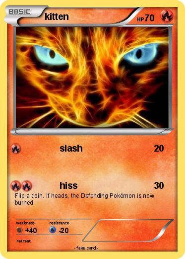 Pokemon kitten