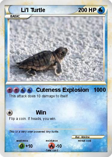 Pokemon Li'l Turtle