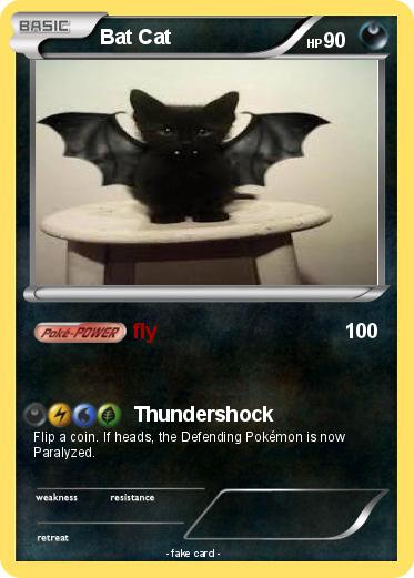 Pokemon Bat Cat