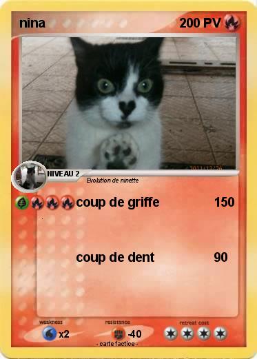 Pokemon nina