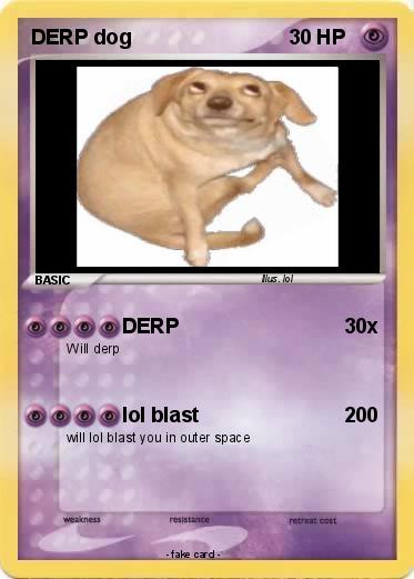 Pokemon DERP dog
