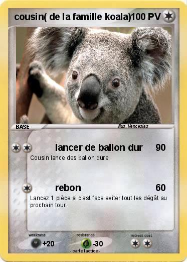 Pokemon cousin( de la famille koala)
