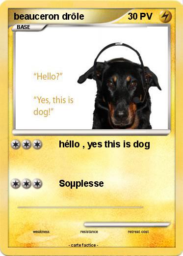 Pokemon beauceron drôle