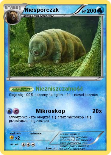 Pokemon Niesporczak