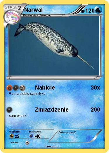 Pokemon Narwal