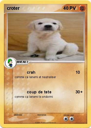 Pokemon croter