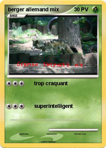 Pokemon berger allemand mix