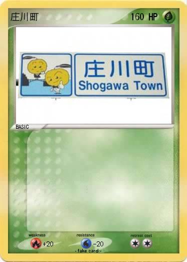 Pokemon 庄川町