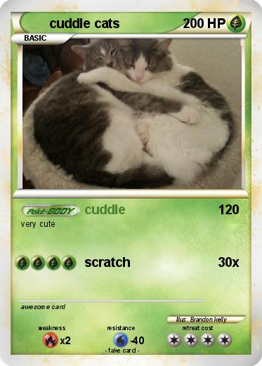 Pokemon cuddle cats