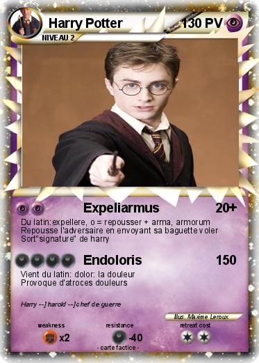 Pokemon Harry Potter