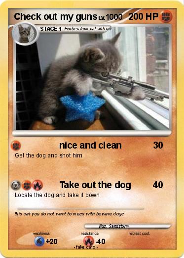 Pokemon Check out my guns