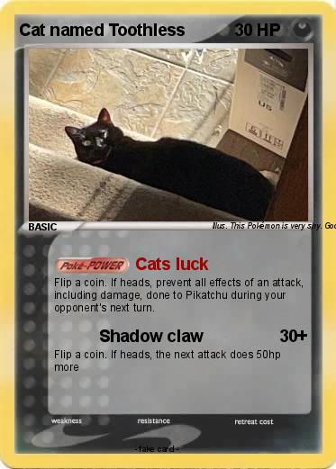 Pokemon Cat named Toothless