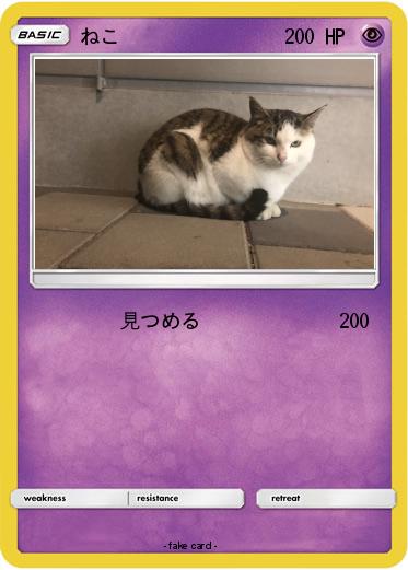 Pokemon ねこ