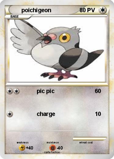 Pokemon poichigeon