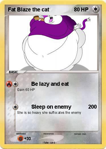 Pokemon Fat Blaze the cat