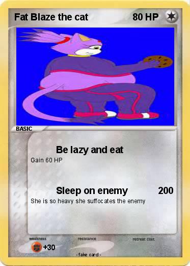 Pokemon Fat Blaze the cat