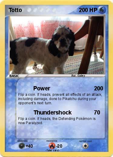 Pokemon Totto