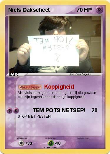 Pokemon Niels Dakscheet