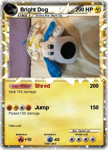 Pokemon Bright Dog