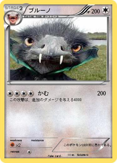 Pokemon ブルーノ